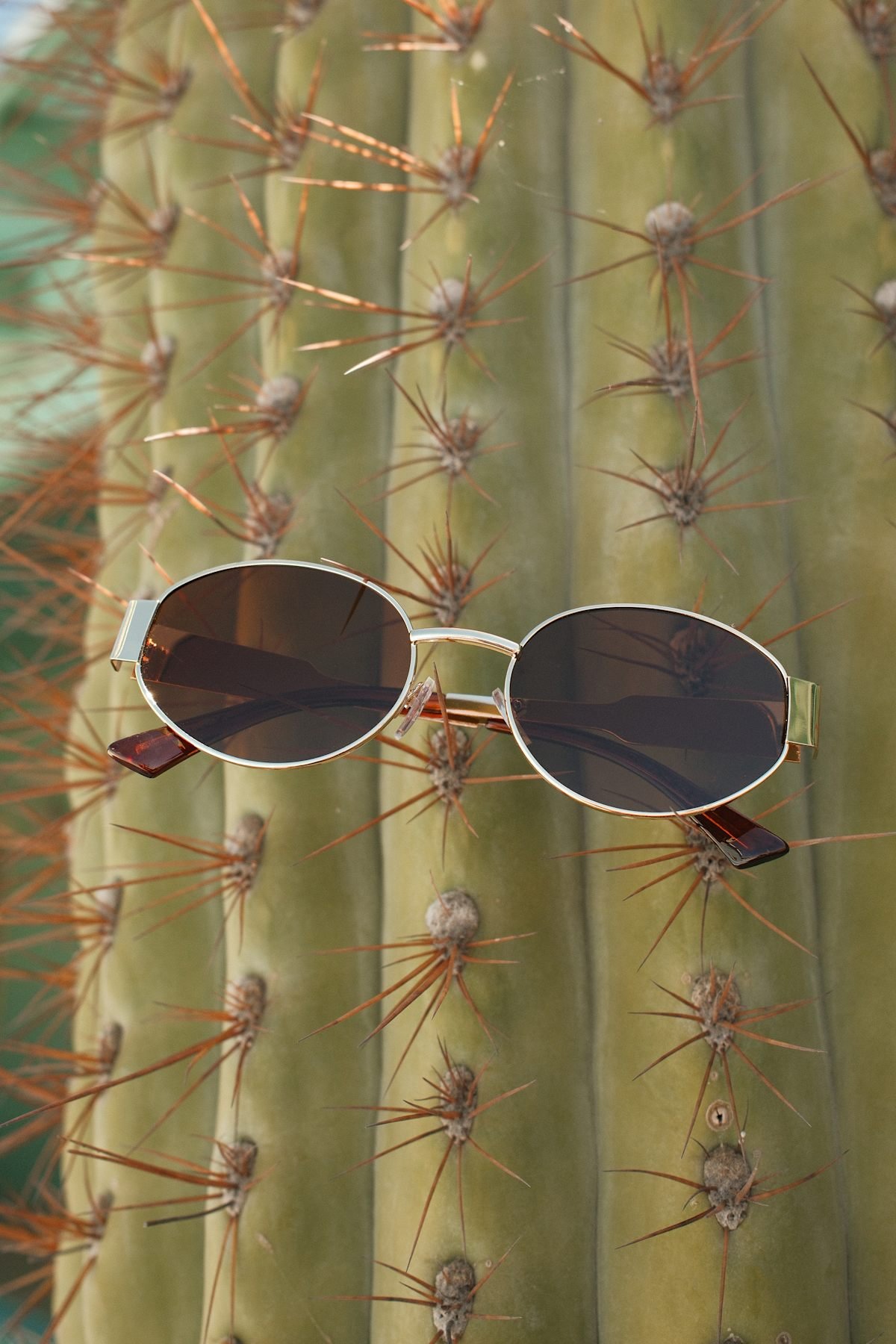 Trendsetting Take Gold and Brown Oval Sunglasses - Image 2